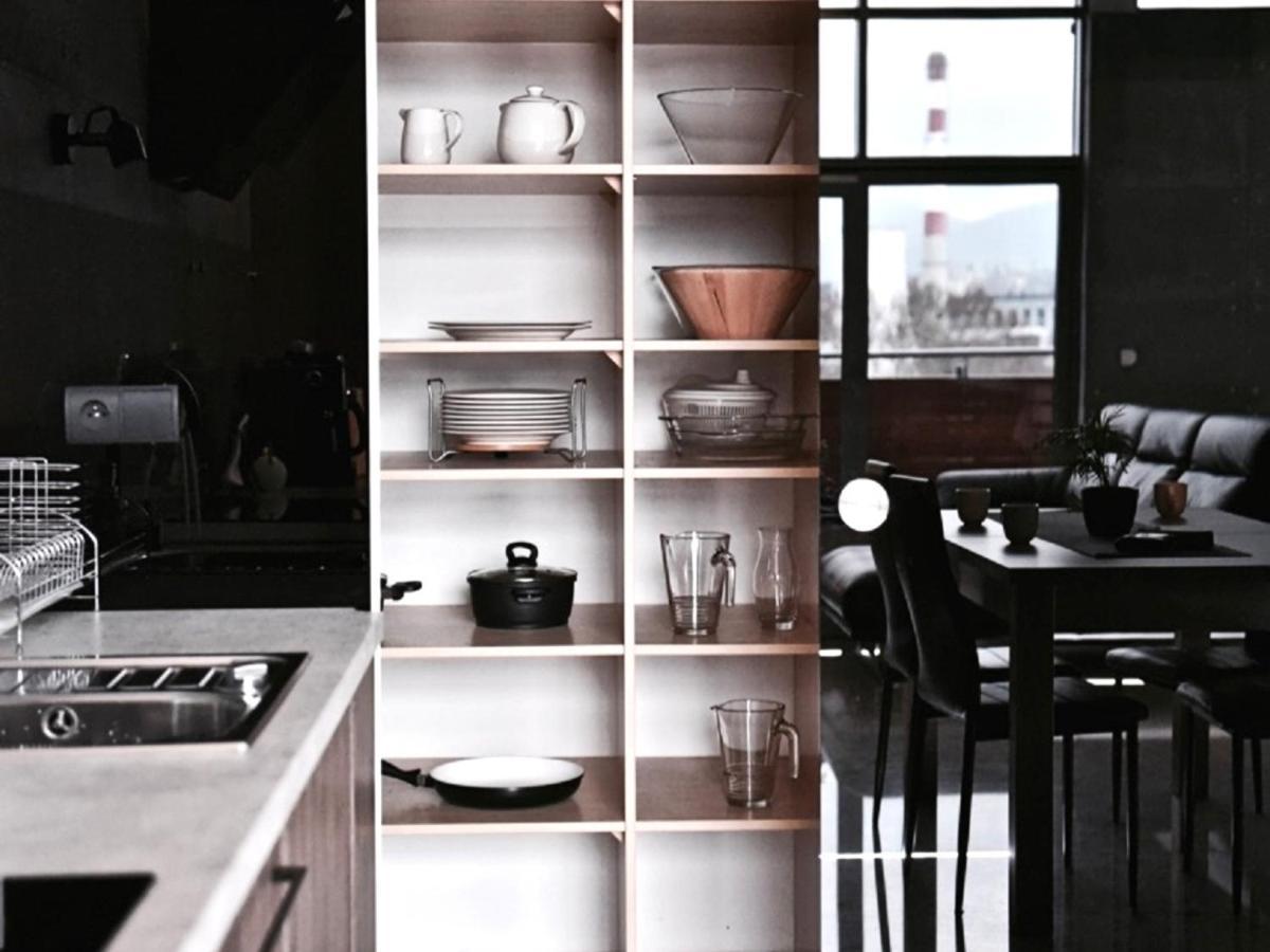 Mlynska 8 Apartament Z Prywatnym Basenem Bielsko-Biała Dış mekan fotoğraf