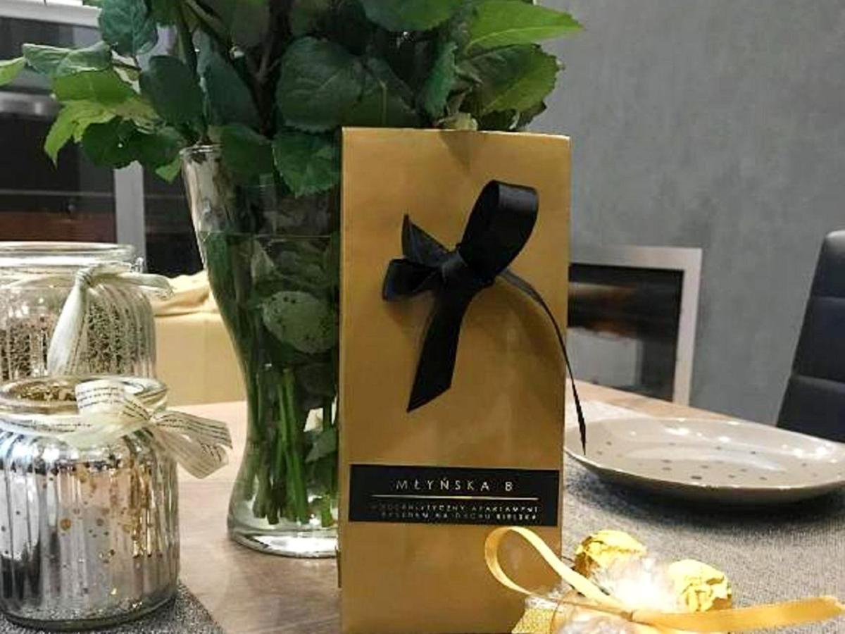 Mlynska 8 Apartament Z Prywatnym Basenem Bielsko-Biała Dış mekan fotoğraf